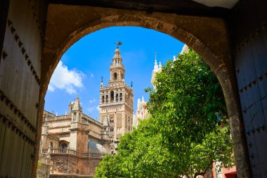 Alcazar Seville katedral Giralda Kulesi