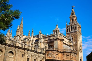 Sevilla Katedrali Giralda Kulesi Sevilla Spain