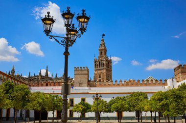Alcazar Seville katedral Giralda Kulesi