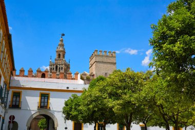 Alcazar Seville katedral Giralda Kulesi