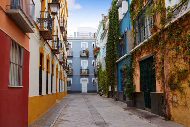 Seville Macarena barrio cepheler Sevilla Spain