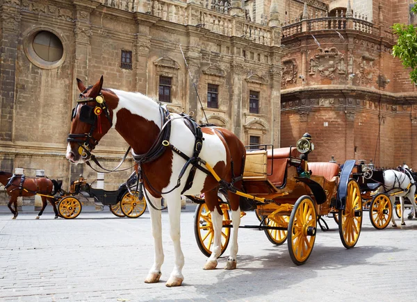 Carruagens de cavalo de Sevilha na Catedral de Sevilha — Fotografia de Stock