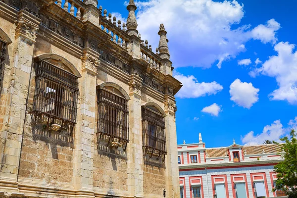 Sevilla Kathedrale Detail sevilla andalusia — Stockfoto