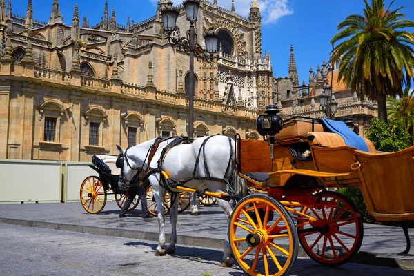 Alquiler de carruajes en Sevilla Catedral de Sevilla — Foto de Stock