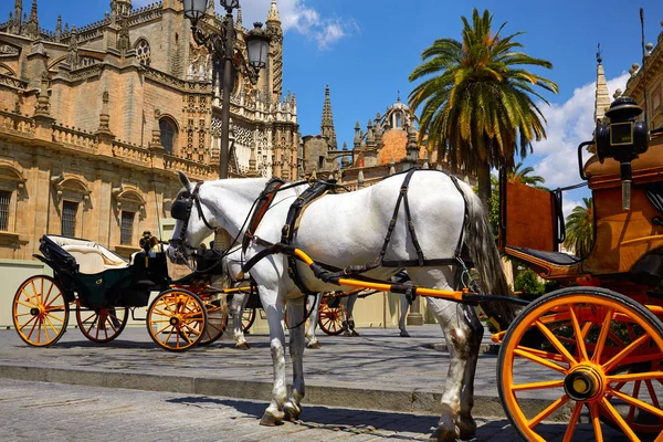 Sevilla Pferdekutschen in der Kathedrale von Sevilla — Stockfoto