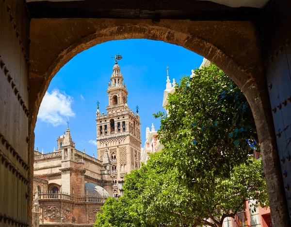 Sevillské katedrály Giralda tower od Alcazar — Stock fotografie