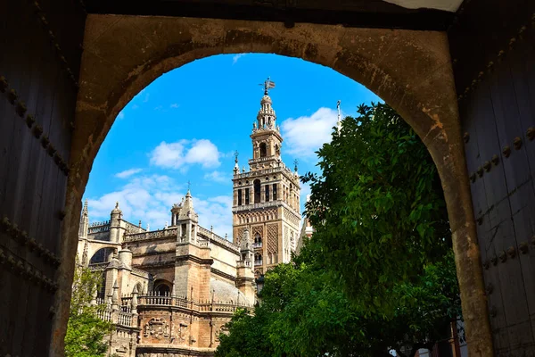 Seville cathedral Giralda tower from Alcazar — Stock Photo, Image