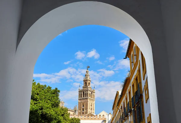 Sevilla katedral Giralda-tornet från Alcazar — Stockfoto