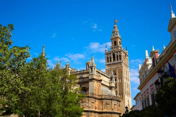 Καθεδρικός Ναός πύργο Giralda Σεβίλλης Σεβίλλη Ισπανία — Φωτογραφία Αρχείου