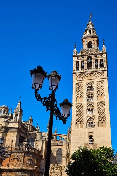 塞维利亚大教堂 Giralda 塔塞维利亚西班牙 — 图库照片