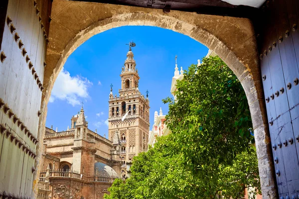 Seville cathedral Giralda tower from Alcazar — Stock Photo, Image