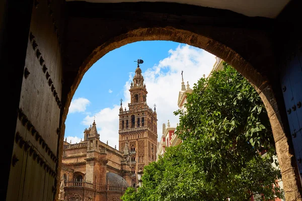 Sevillské katedrály Giralda tower Andalusie Španělsko — Stock fotografie
