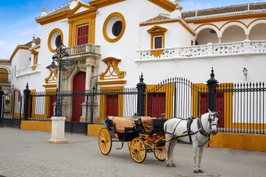 Seville Real Maestranza bullring plaza toros