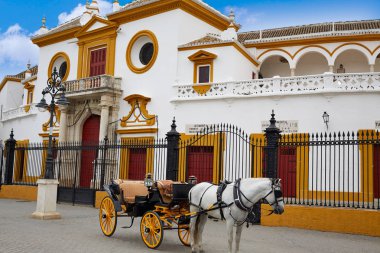 Seville Real Maestranza bullring plaza toros