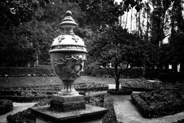 Seville maria luisa park bahçeler İspanya