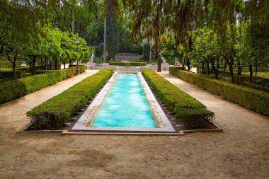 Seville maria luisa park bahçeler İspanya