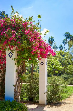 Seville maria luisa park bahçeler İspanya