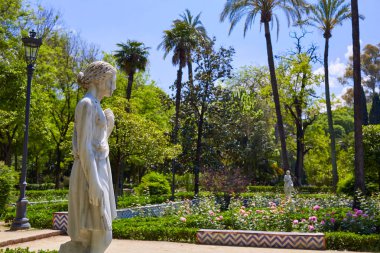 Seville maria luisa park bahçeler İspanya