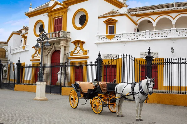 Seville Real Maestranza bullring plaza toros — 스톡 사진