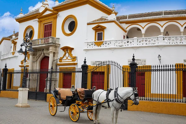 Seville Real Maestranza bullring plaza toros — Stockfoto