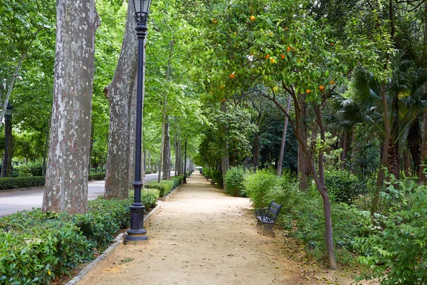 Seville maria luisa park bahçeler İspanya — Stok fotoğraf