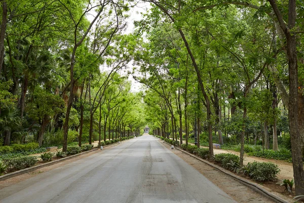 Sevilla maria luisa park tuinen Spanje — Stockfoto