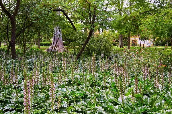 Sevilla maria luisa park gärten spanien — Stockfoto