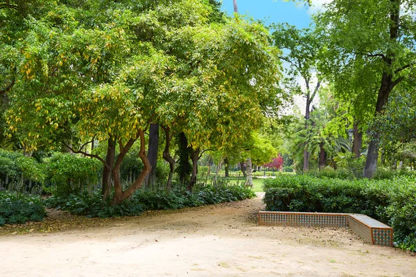 Sevilla maria luisa park tuinen Spanje — Stockfoto