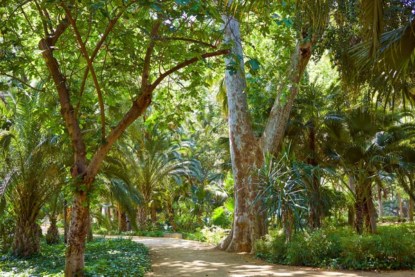 Sevilla maria luisa park tuinen Spanje — Stockfoto