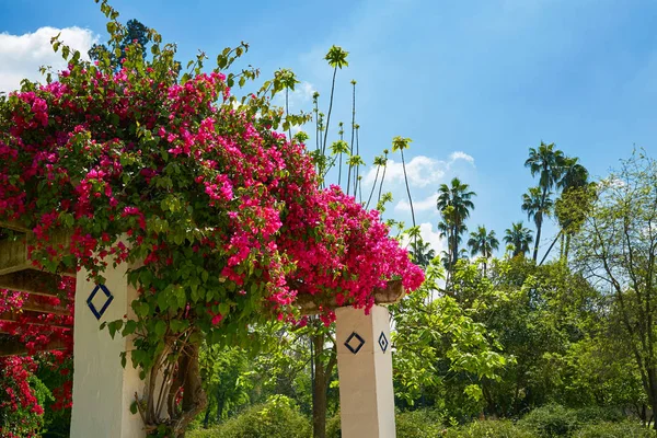 Seville maria luisa park bahçeler İspanya