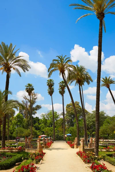 Sevilla maria luisa park gardens Spanien — Stockfoto
