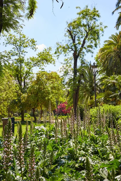 Sevilla maria luisa park tuinen Spanje — Stockfoto