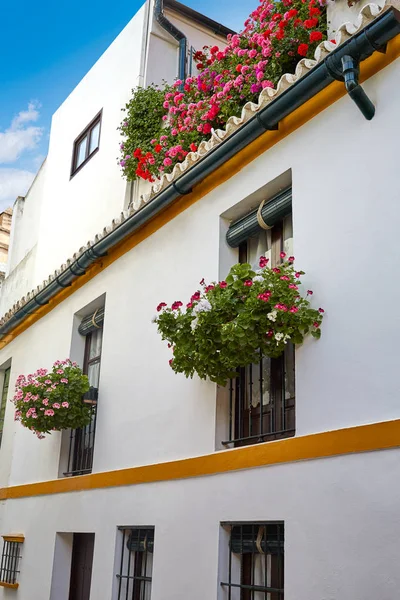 Seville Juderia barrio Endülüs Sevilla Spain — Stok fotoğraf