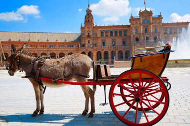 Seville Sevilla Plaza Espana Endülüs İspanya