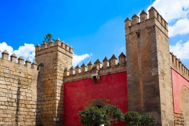 Seville gerçek Alcazar Seville Endülüs