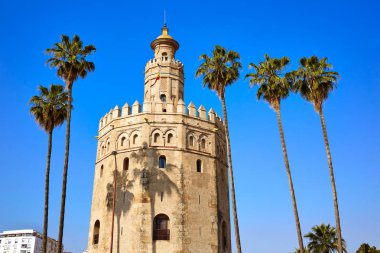 Sevilla Torre del Oro Kulesi Sevilla İspanya