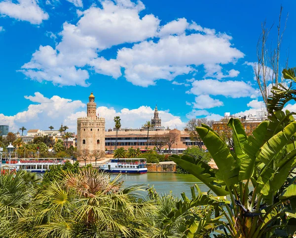 Σεβίλλη Torre del Oro πύργος στην Ανδαλουσία της Σεβίλλης — Φωτογραφία Αρχείου