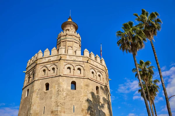 Sevilla Torre del Oro Kulesi Sevilla İspanya — Stok fotoğraf