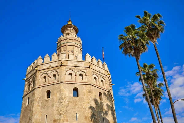 Sevilla Torre del Oro Kulesi Sevilla İspanya — Stok fotoğraf