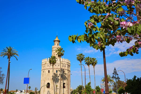 西班牙塞维利亚的Seville Torre del Oro塔 — 图库照片