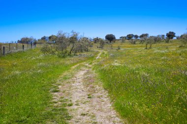 Via de la Plata way in Extremadura Spain