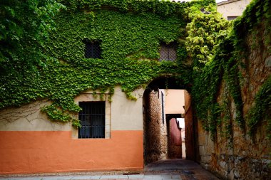 Zamora Calle Troncoso sokak arch İspanya