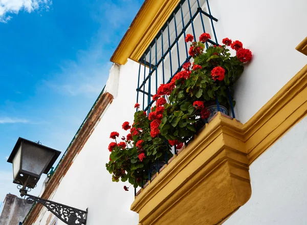 Triana barrio seville fassaden andalusien spanien — Stockfoto