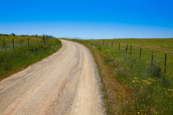 Via de la Plata way in Extremadura Spain — 스톡 사진