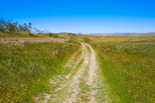 Via de la Plata way in Extremadura Spain — Stock Photo, Image