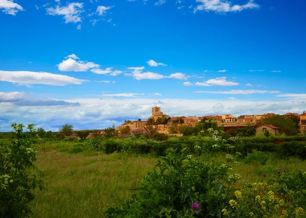 Skyline di Zamora in Spagna dalla via de la Plata — Foto Stock