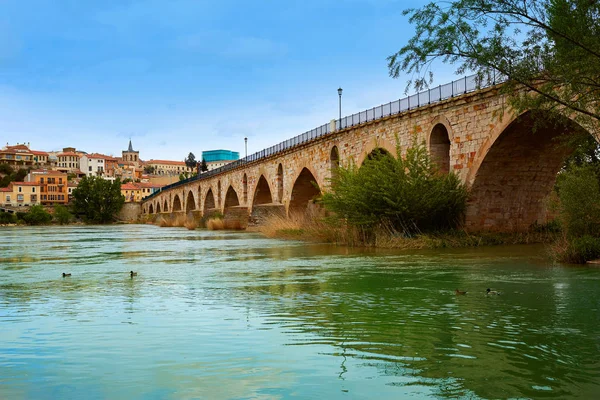 Ponte Zamora Puente de Piedra sul fiume Duero — Foto Stock