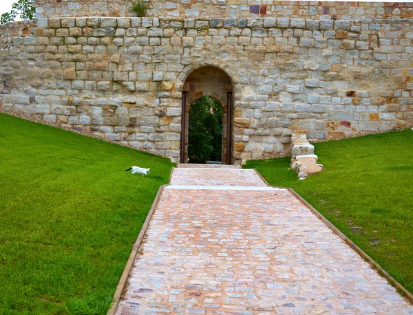 Zamora Portillo de la Lealtad door Spain — ストック写真