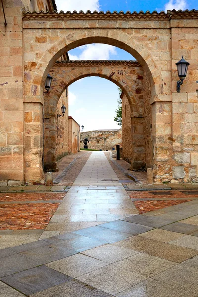 Zamora katedral Meydanı İspanya — Stok fotoğraf