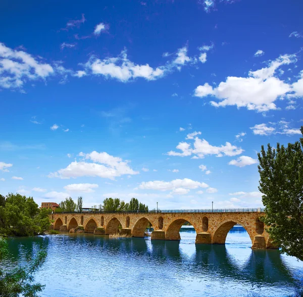 Zamora Puente de Piedra stone bridge on Duero — Stok fotoğraf